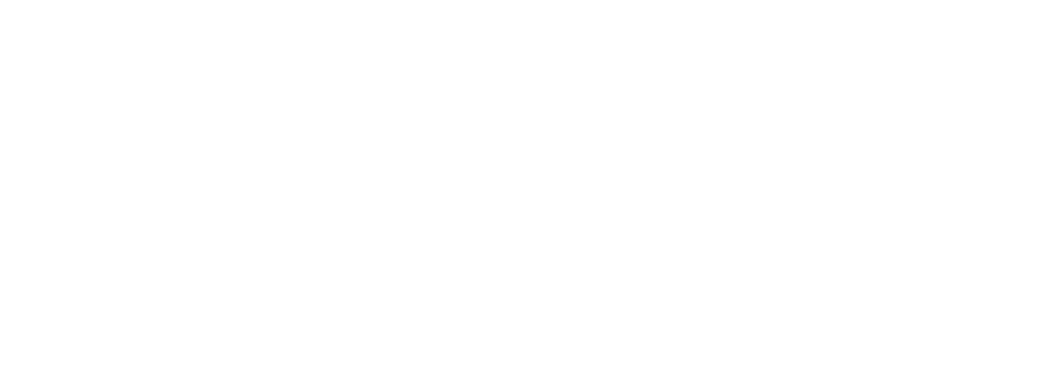InterData Logo