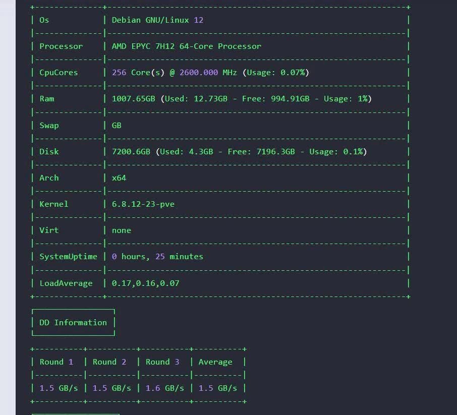Benchmark AMD Server 1 - thông tin hệ thống và tốc độ đọc ghi